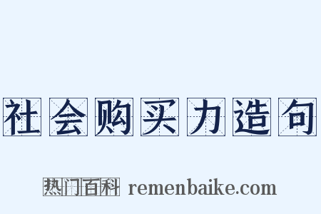 社会购买力造句是什么意思的图片